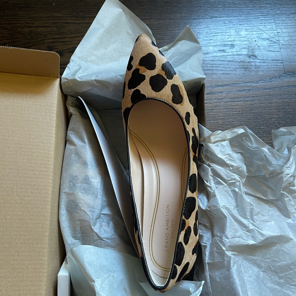 Brand new shoes